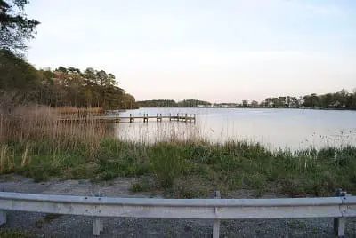 A wooden dock extends into a calm lake, with tall grass and trees along the shoreline under a clear sky.